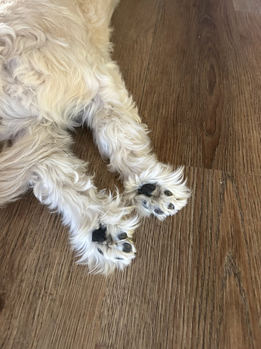 astridposts's tweet image. here’s to a kinder 2025 ✨🤍