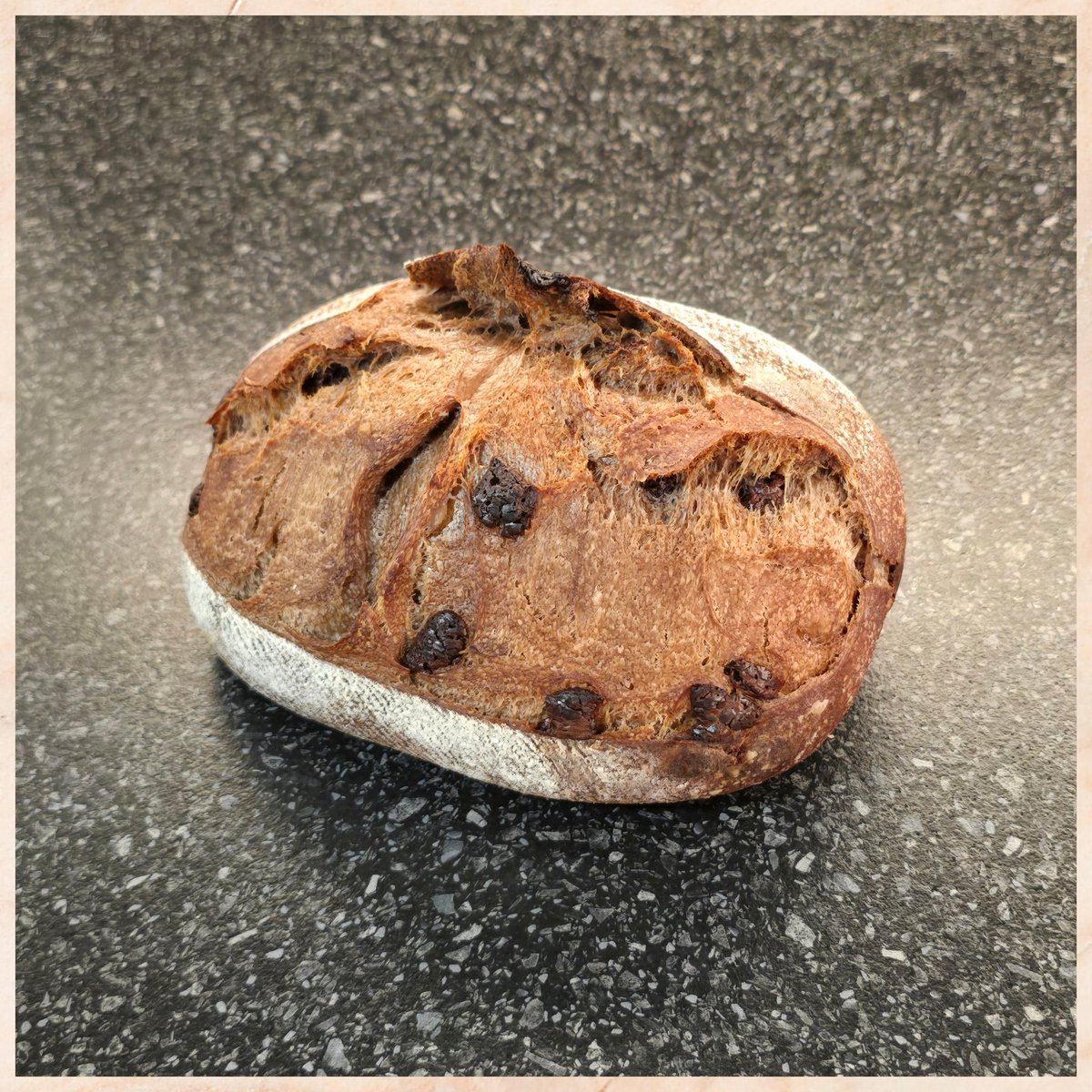 ShanDS14's tweet photo. ^_* #Dezgard16 ~ Chocolate Sourdough with Whiskey 🍞🍫🥃🍞
#Sourdough #Chocolate #Whiskey #AlcoholinBread #FunofBread #Byeto2024 🍞🥰🥰🍞 https://t.co/xvQk9Ps0Ca