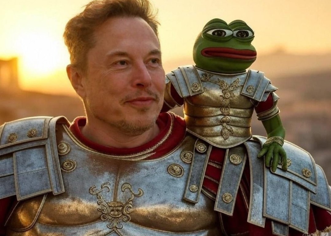 Land_DownUnd3r's tweet photo. $PEPE For the people https://t.co/MgeupDFoci
