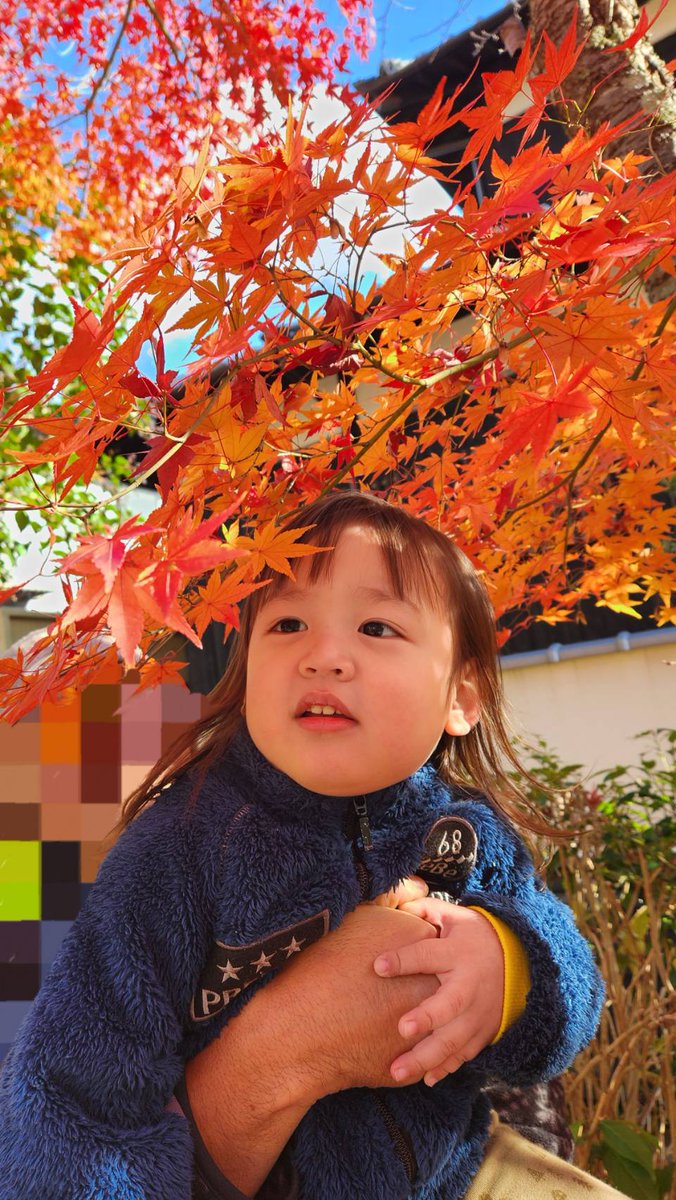 0217jupi's tweet photo. 🌤|๑•ᴗ•๑)੭ु⁾⁾ おはょ～♪🍵🍱

┏┓┏┓
┃┗┛ａｐｐｙ𓊆２０２5𓊇
┃┏┓┃Ｎｅｗ Ｙｅａｒ🐍
┗┛┗┛
本年も家族👪共々🎍宜しくお願い申し上げます★ ⁠⸜(´,,> <,,)🩷⸝🐍🩷

2025年🐍年も皆様😁が充実し健康で楽しい日々を楽しく過ごせます様に🙏🎍⛩️ https://t.co/OoSEppFQSU
