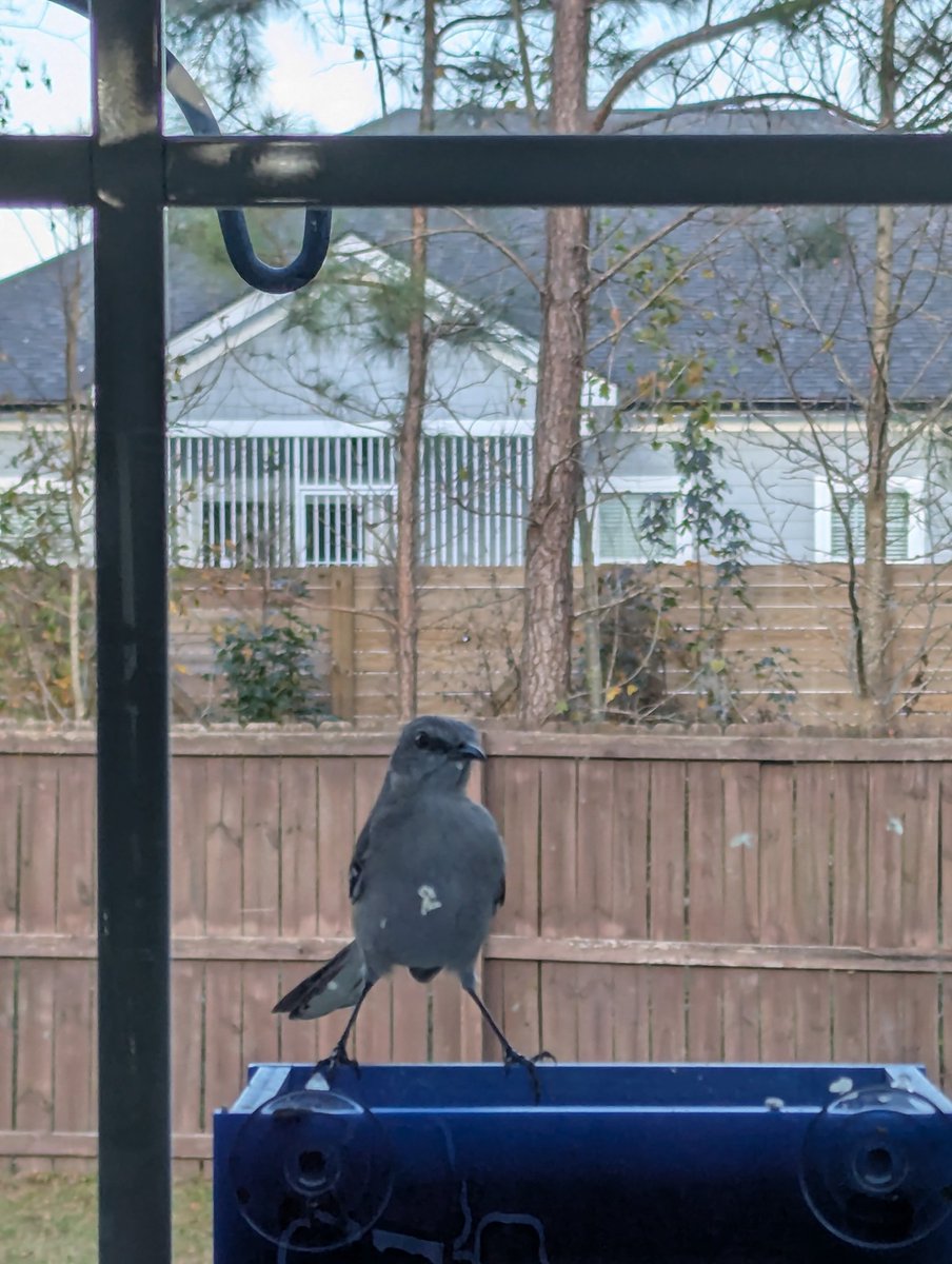 Qt's Game Quest tweet media