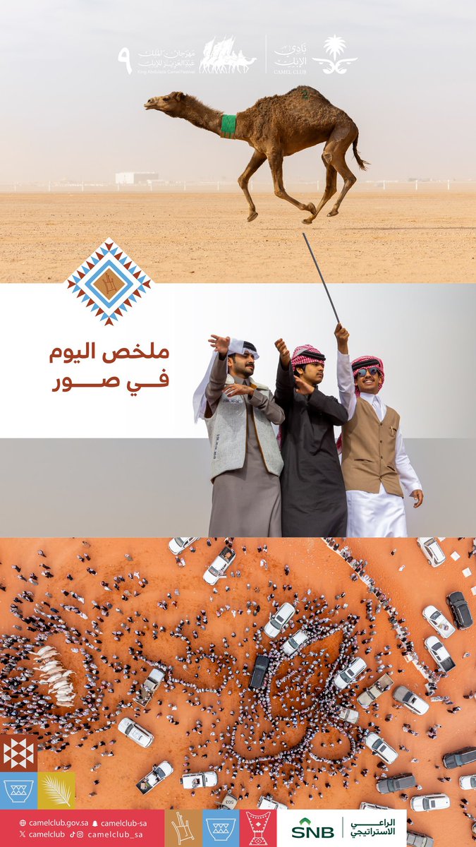 📸|اليوم الواحد الثلاثون

أجواء اليوم من #مهرجان_الملك_عبدالعزيز_للإبل9  🎊🐪

#نادي_الإبل  🇸🇦✨"