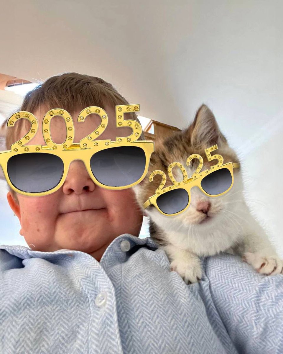 2025 is the year of Barsik