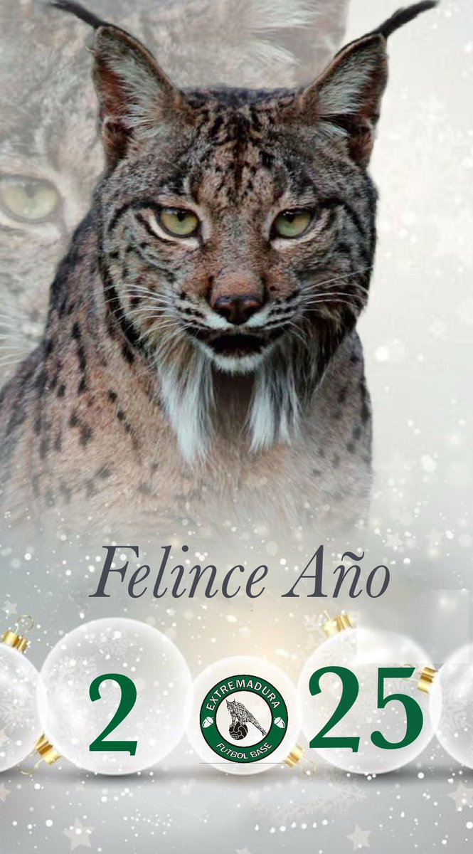 🥂🥂🥂🥂🥂🥂🥂🥂

Nuestros mejores deseos en un año lleno de sorpresas, de curiosidad, de conocimiento y de aprendizaje.

 ¡Felince Año Nuevo 🍾💚!