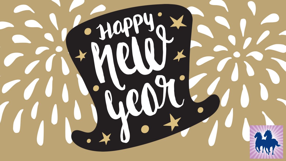 Wishing everyone a wonderful 2025!! Be safe tonight! #NewYear2025 #newyear