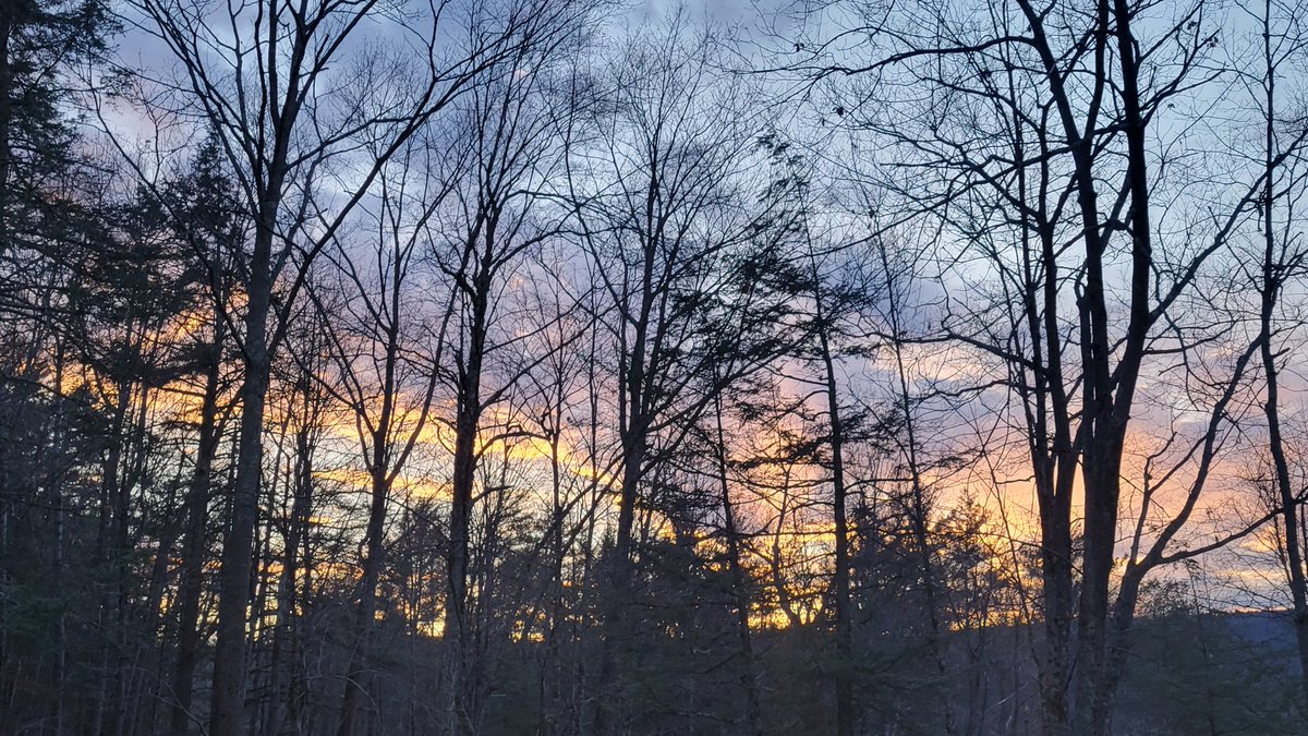 timelesslisa's tweet photo. Getting some Catskills Mountains winter fun in for New Year!🌄 #HappyNewYearEve #bye2024 #getgrounded #earthing https://t.co/kLy1LrGpy8