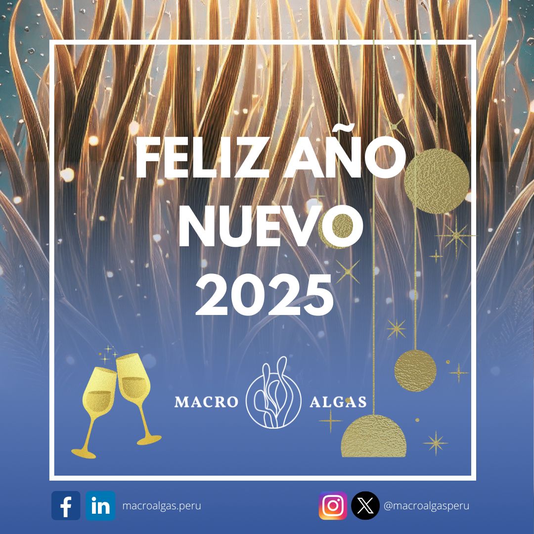 Macroalgasperu's tweet image. 🥳De parte de todo el equipo de Macroalgas Marinas del Perú y el Club de Macroalgas Perú, deseamos a todos nuestros seguidores y colaboradores un muy Feliz Año Nuevo. ¡Que este 2025 traiga cosas mejores para todos!🥳