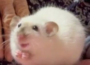 여기 계정 트친님들도 새해 복 많이 받으시고 행복한 해 되세요~!!