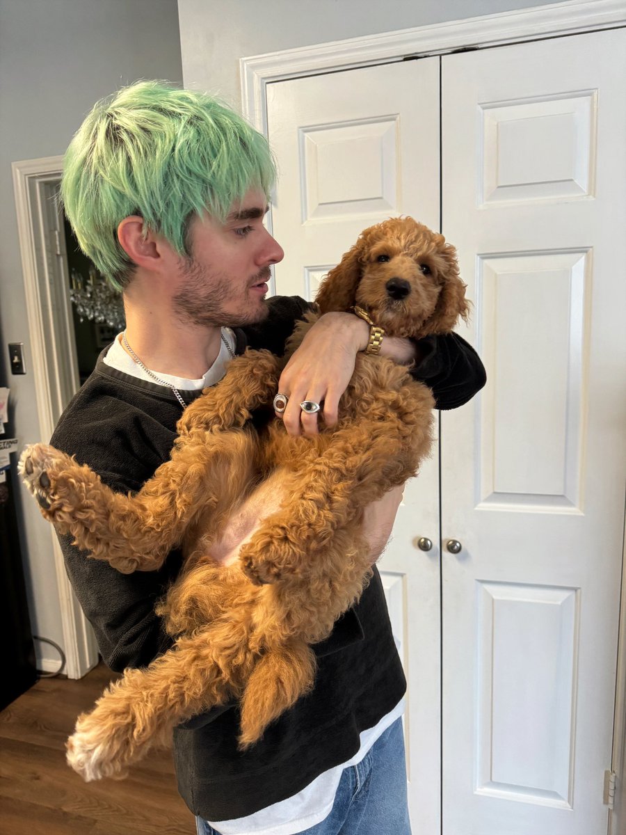 awsten's tweet image. 