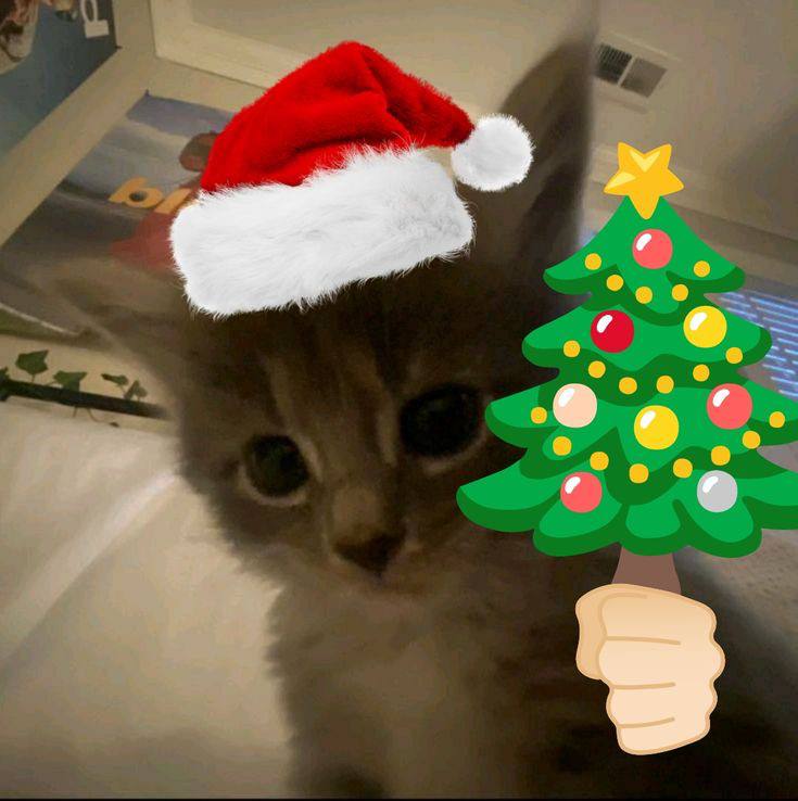 happy new year babies