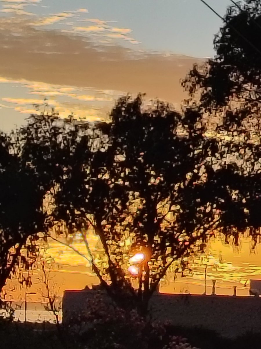 🌊 ᑭᗩᑭᗩ ᗪᗩᐯᗴ 🌊 🇺🇸 🏳️‍🌈 tweet media