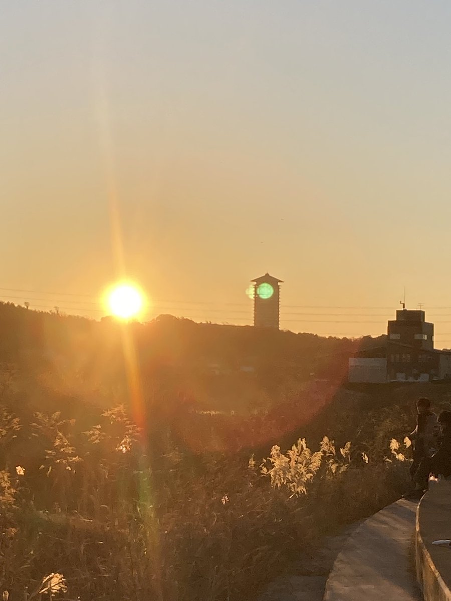 dododorayak's tweet photo. 太陽のエネルギーは生命のエネルギー☀️ https://t.co/tTTWmChzzo