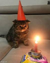 2025 new year 
7/1 my birthday