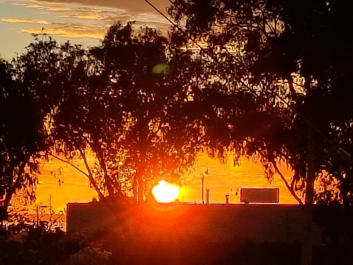 🌊 ᑭᗩᑭᗩ ᗪᗩᐯᗴ 🌊 🇺🇸 🏳️‍🌈 tweet media