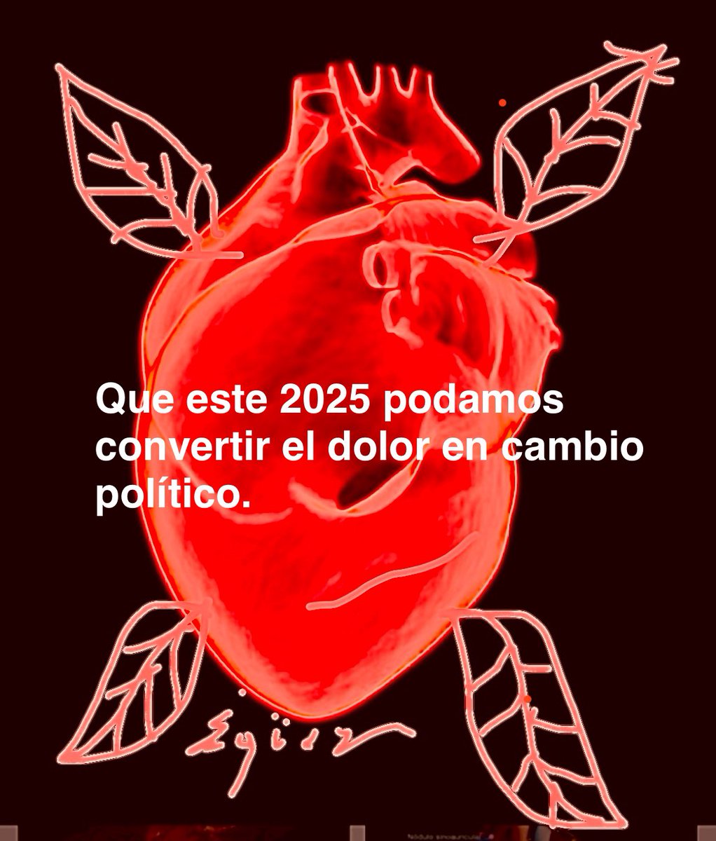 Que este 2025 podamos convertir el dolor en cambio político.

Ecuador no merece esto. 

#LosCuatroDeGuayaquilEcuador