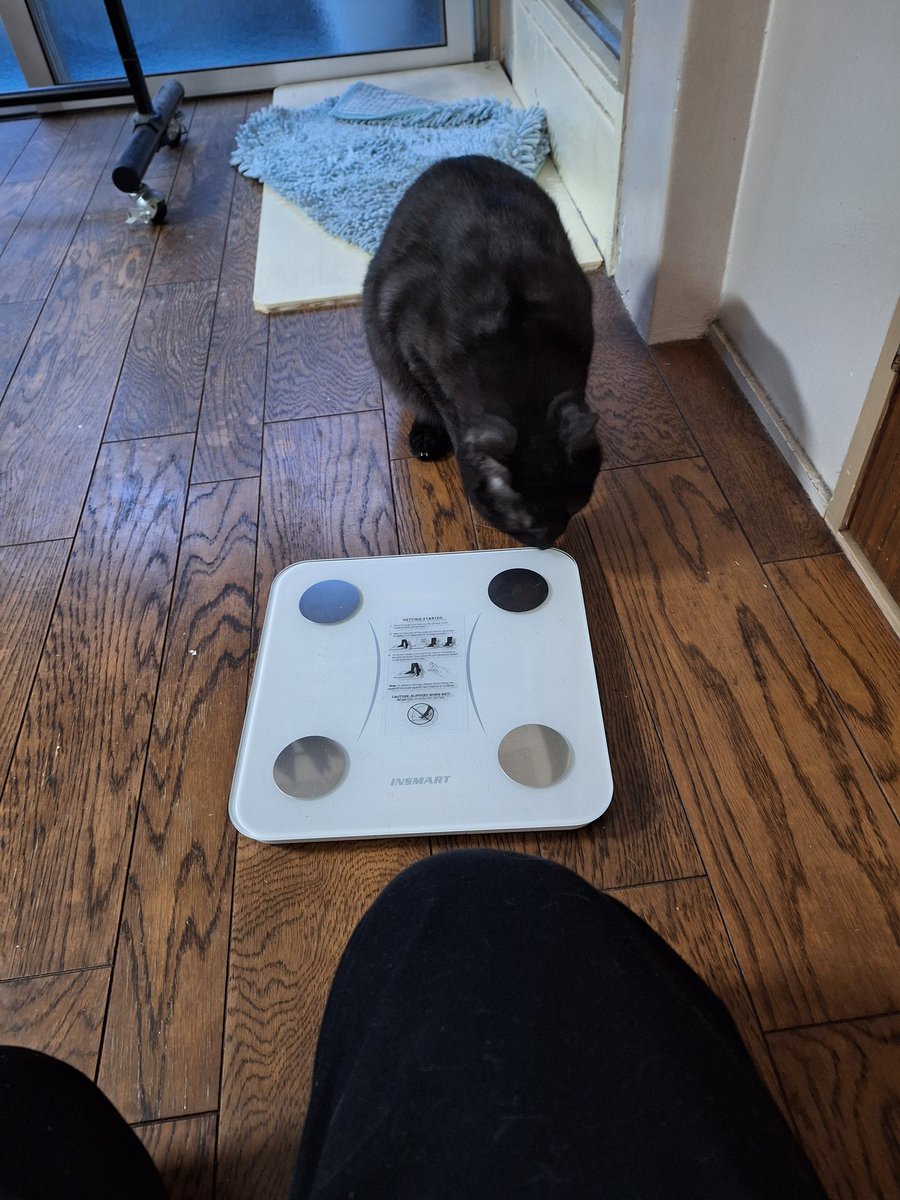 jinlo_e's tweet photo. 年初めの体重測定
私 69.05
猫 5.52
私はダイエットが必要です🤣
 #猫のいる暮らし 
 #猫のいる幸せ 
 #年初め https://t.co/aR8FJyQ9ZG