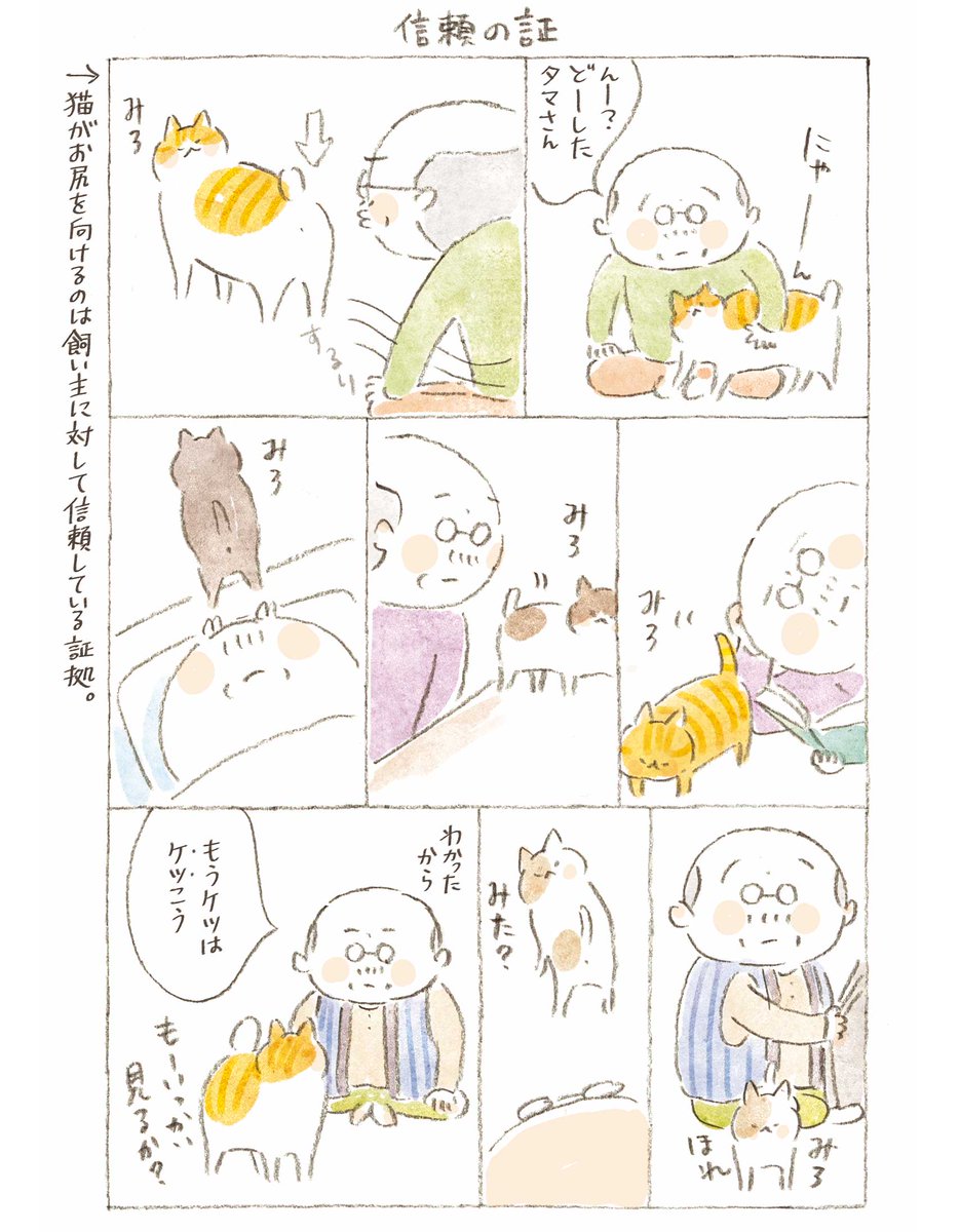 元旦から猫がおしりを見せてきます。
＃ねことじいちゃん