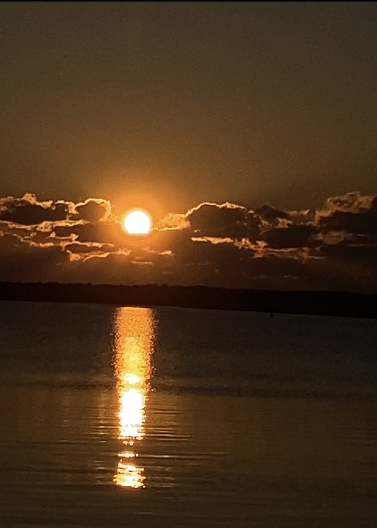 BOSS_S.G.Z tweet media