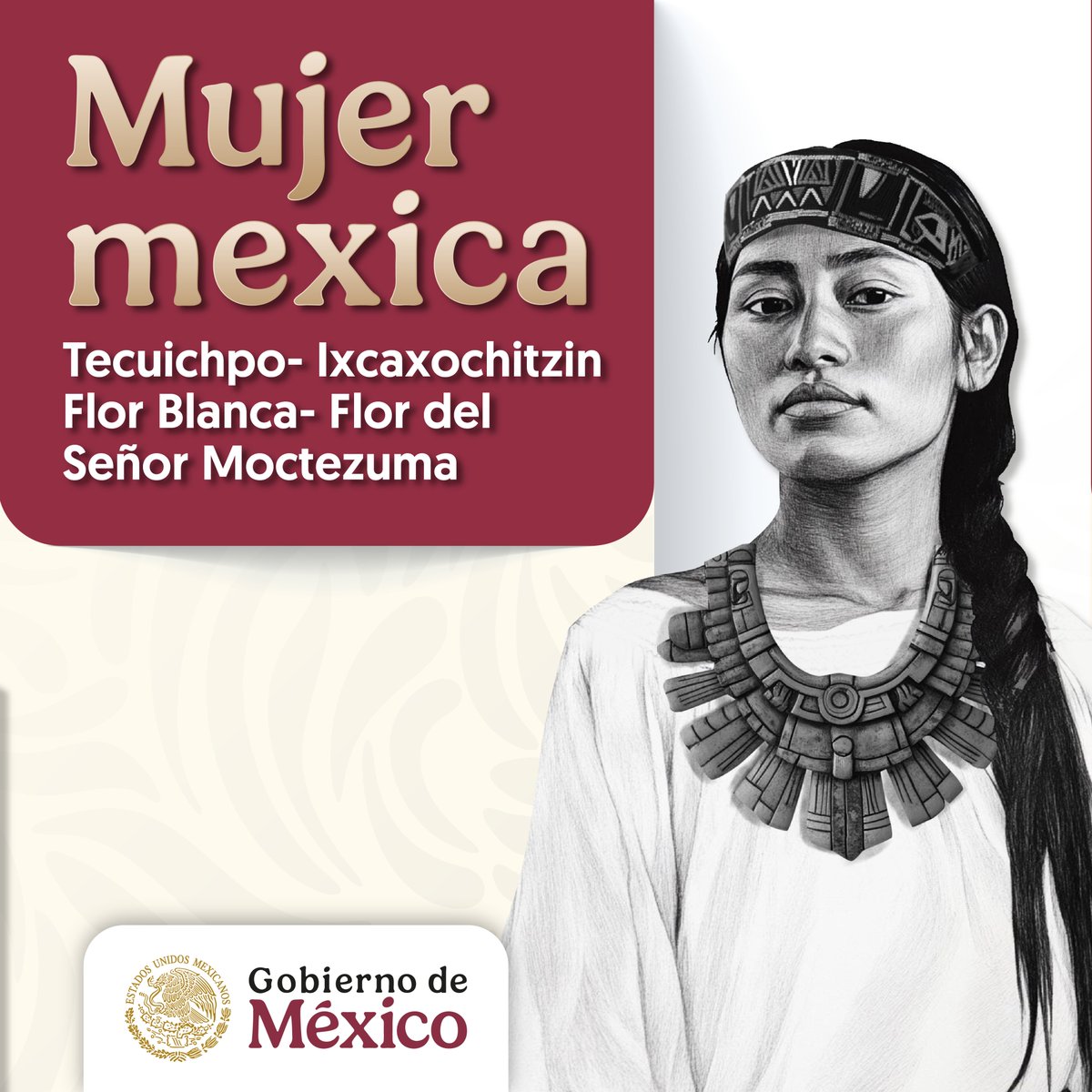 Gobierno de México tweet media