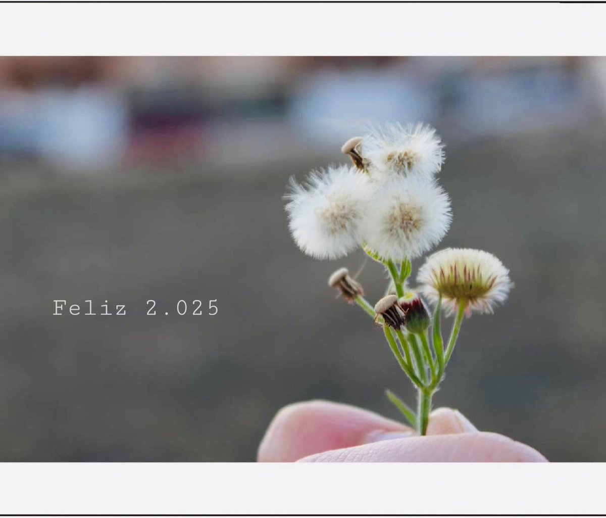 Erzsébet tweet media