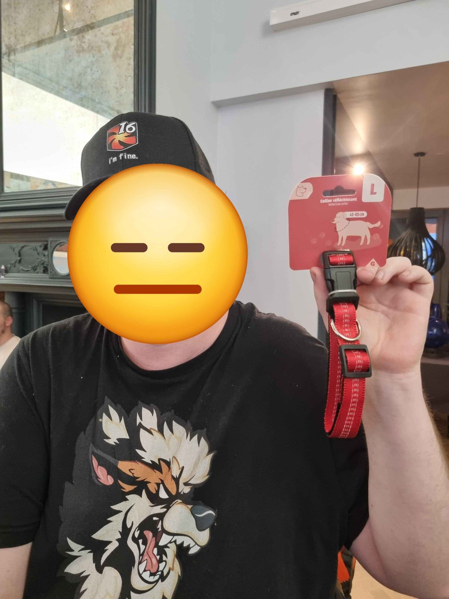 Alors j'ai fais un secret santa chez <a href="/GottinDerwolf/">Gottin Derwolf</a> 

Donc voilà merci