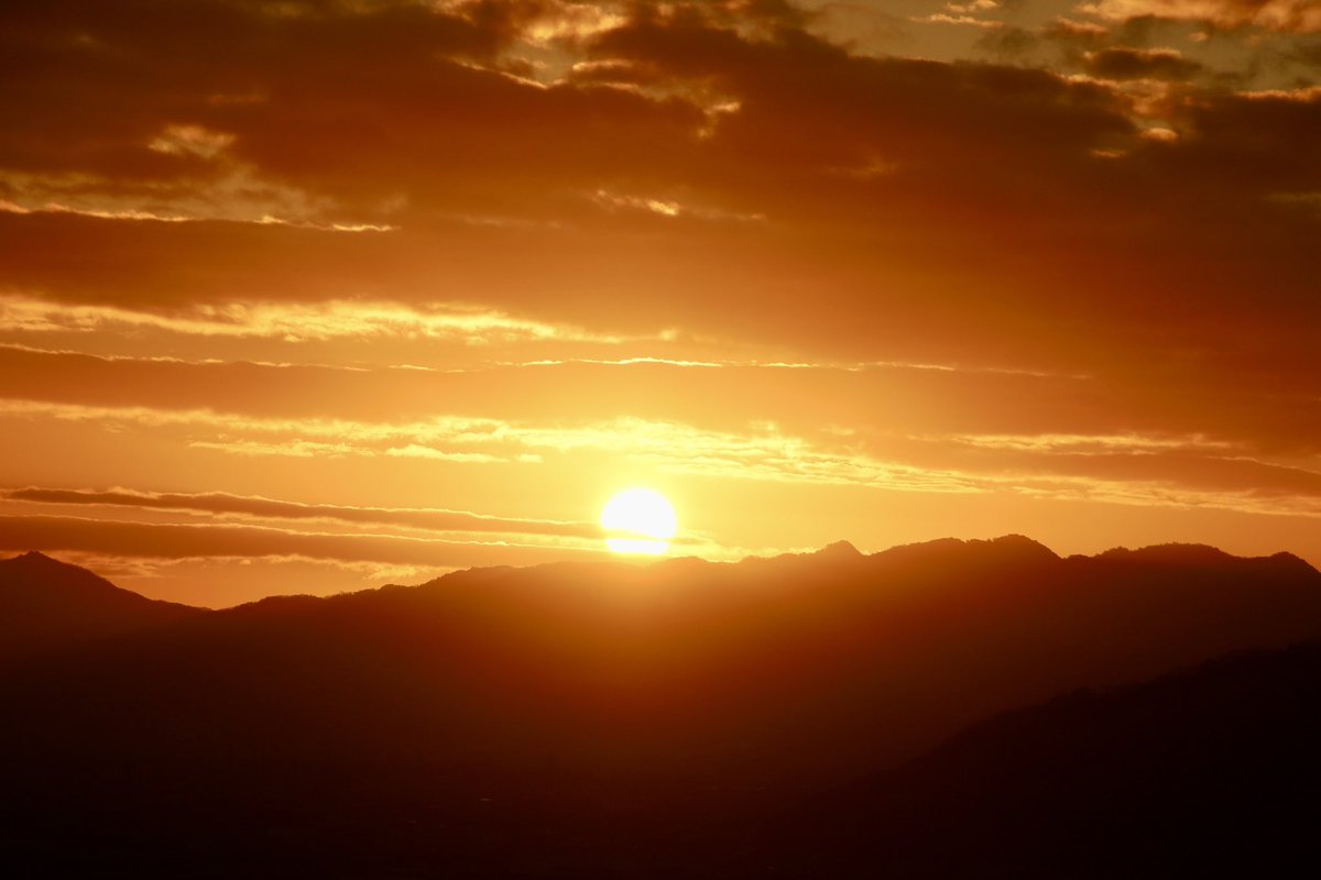 ✬hiro*✬ tweet media