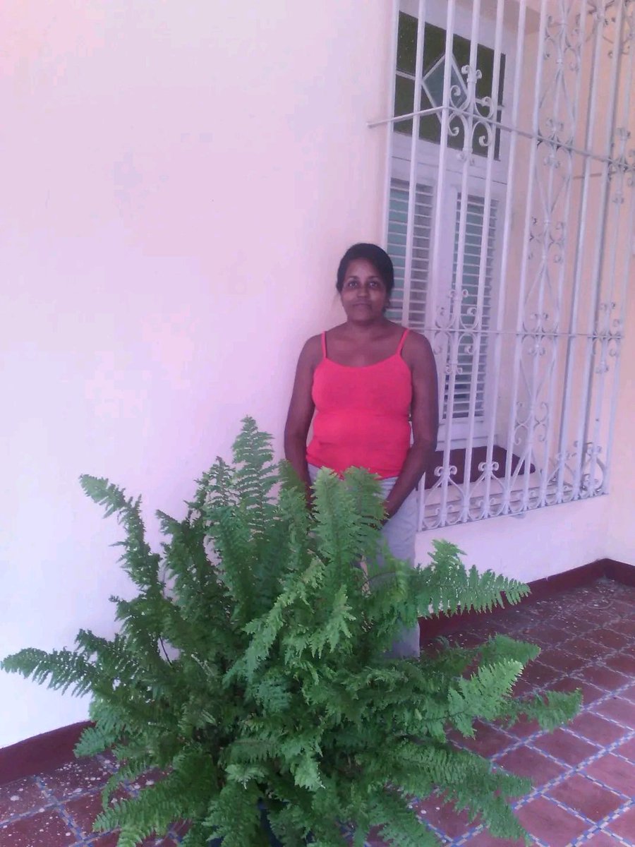 <a href="/rpichsmadruga/">Ramón Pichs</a> <a href="/opmCuba/">Oficina del Programa Martiano -OPM</a> <a href="/Integ812/">Lil Maria Pichs-Hernandez</a> <a href="/YuryTriana2/">Yury Trianaᅠᅠᅠᅠᅠᅠᅠᅠᅠᅠᅠᅠᅠᅠᅠᅠᅠᅠᅠᅠᅠᅠᅠᅠᅠᅠ༝༝</a> <a href="/AxisCitma/">Agencia de Ciencias Sociales y Humanística</a> <a href="/MariaLuisa2023/">Dra. C. María Luisa Zamora Rodríguez</a> <a href="/luisglopez19/">Luis García López</a> <a href="/citmacuba/">Ministerio de Ciencia, Tecnología y Medio Ambiente</a> Contribución a la Memoria Histórica: Los materiales del CIEM, disponibles en biblioteca de Acceso Abierto patrialibros.org incluyen la Colección de la Revista "Temas de Economía Mundial" desde 1982, gracias al arduo esfuerzo de digitalizacion de la Lic. Surama Izquierdo.