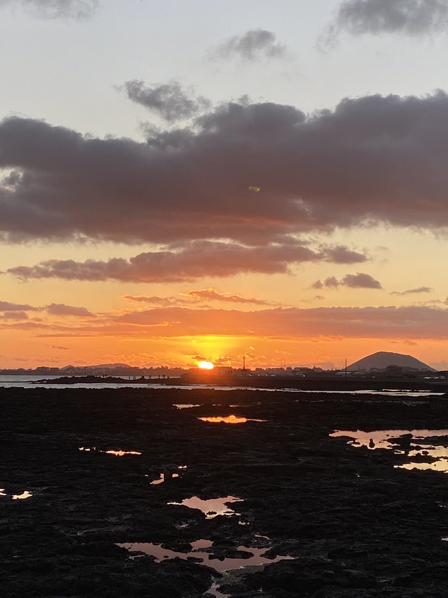 게으른 소나기 tweet media