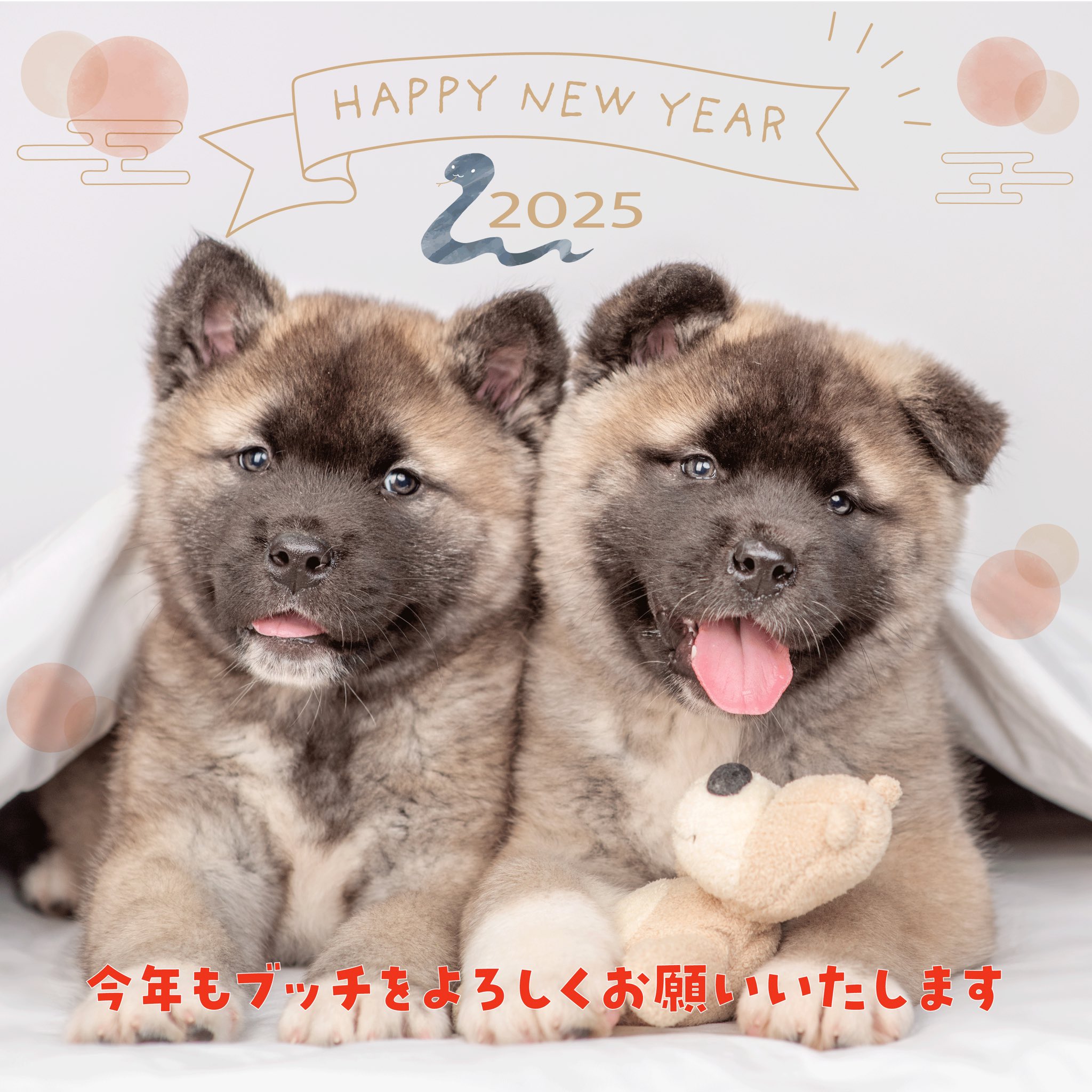 評判は？】ブッチドッグフードを愛犬に与えてみた私の口コミ