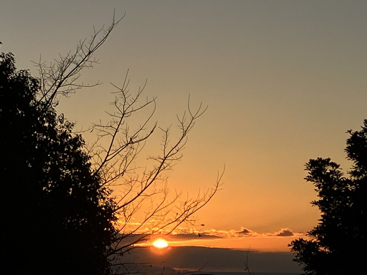 ちっきん…おかみ tweet media