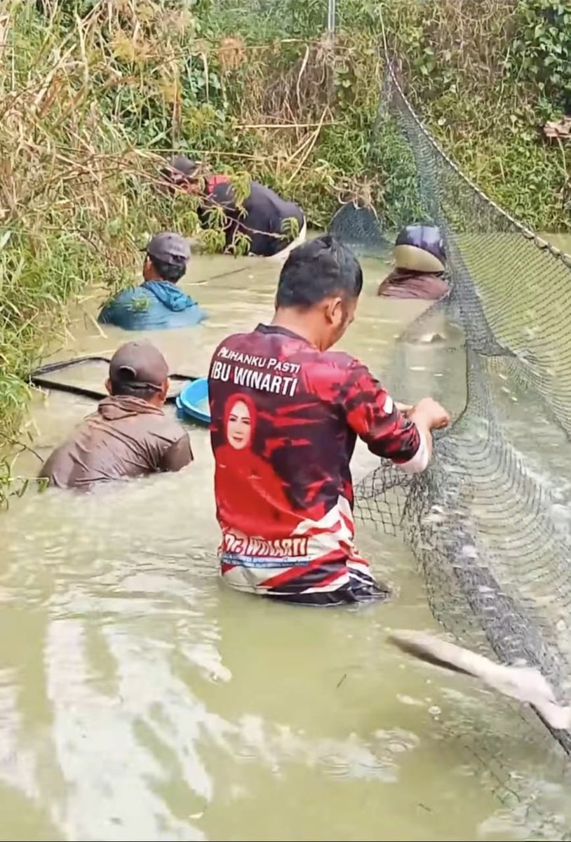 Fridudin tweet media