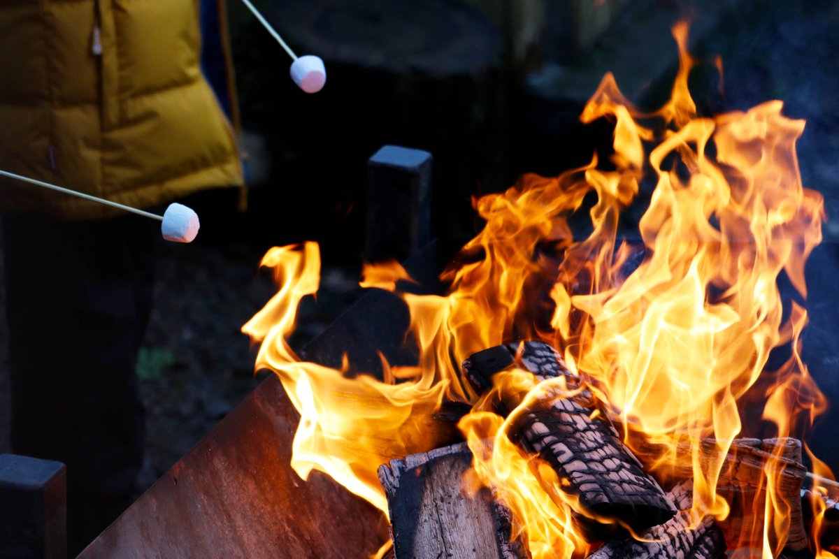 🎉 Happy New Year! 🎉

Special thanks to our incredible young people, dedicated volunteers, supportive parent helpers, and wonderful community members who support Scouting!

We're excited about the adventures and memories that await us in 2025!