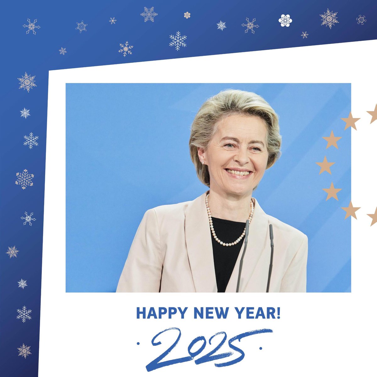 Happy New Year!

2025 is here, and with it, new hope and determination to deliver.

From economic strength to security, defence and global partnerships  —

my team and I are ready to roll up our sleeves to work for stronger Europe, at home and abroad.