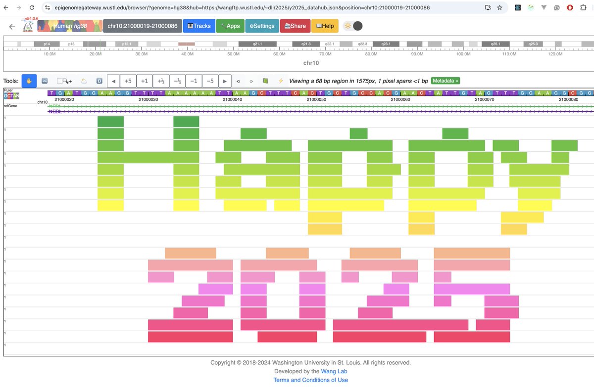 The WashU Epigenome Browser team wishes you a happy 2025 ahead!