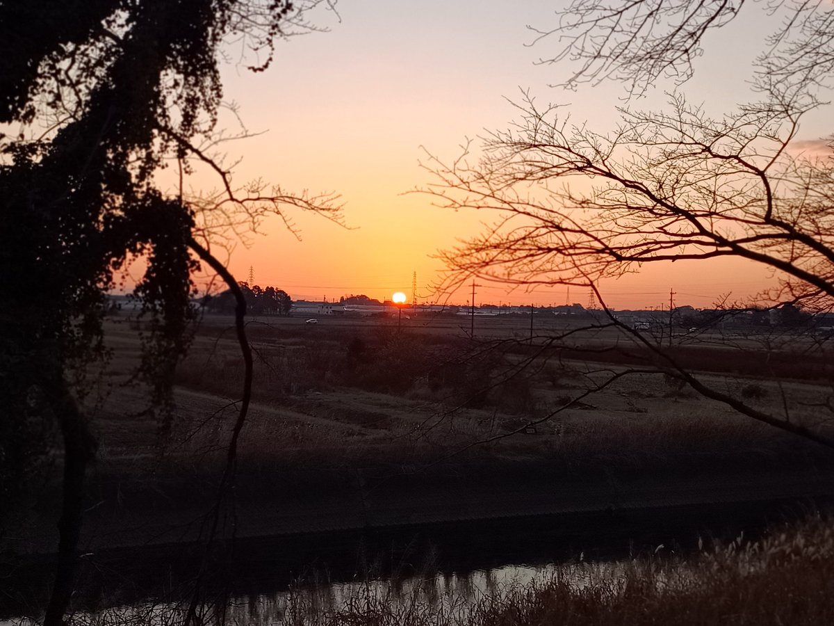 38_cat's tweet photo. 初日の出見たし、銀だこの福袋買えた！2025年健康でありますように！ https://t.co/r0trefP744