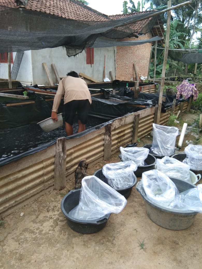 Fridudin tweet media