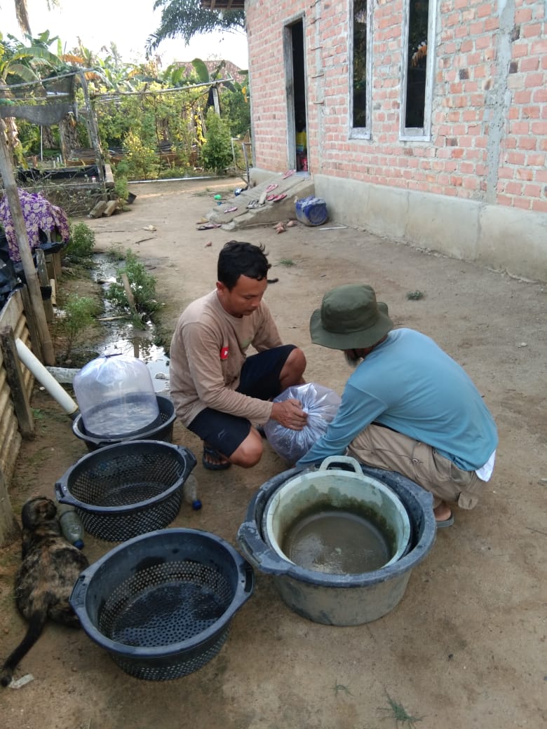 Fridudin tweet media