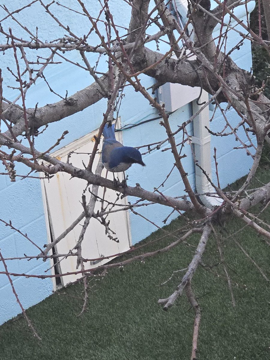 ; soy @ home tweet media