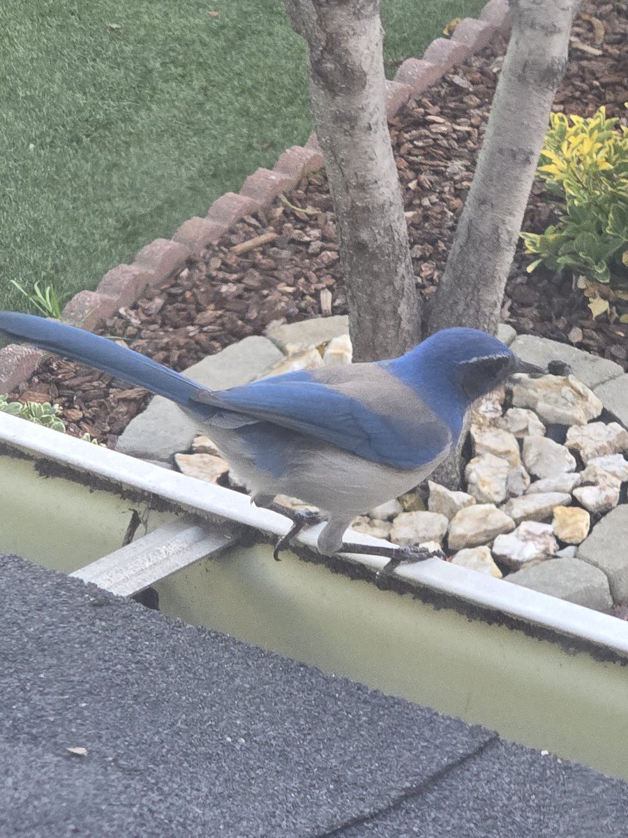 ; soy @ home tweet media