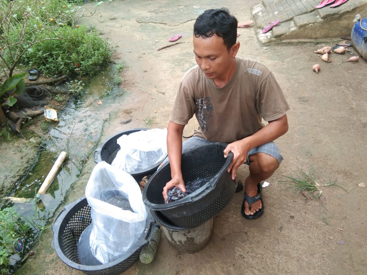 Fridudin tweet media