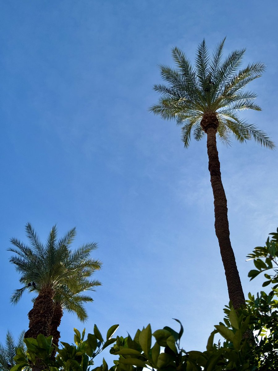 Tom Hall ☘️ tweet media