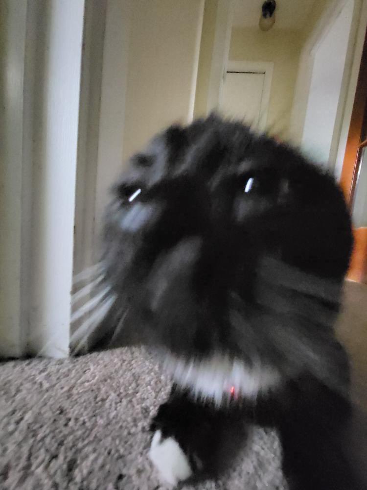 ugh, another year yippeee woohooo