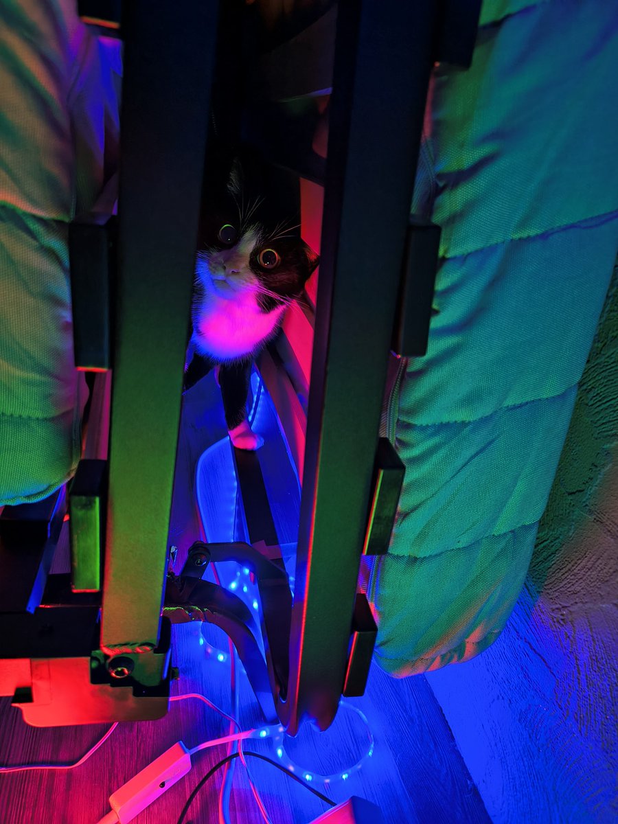 zuckerbastard's tweet photo. #Boellerverbot jetzt.
Der Kater hat sich verdammt nochmal IN der Couch versteckt und kommt nicht raus. Und bei dem verängstigten Blick will ich einfach nur weinen. https://t.co/tU24EEkOJw