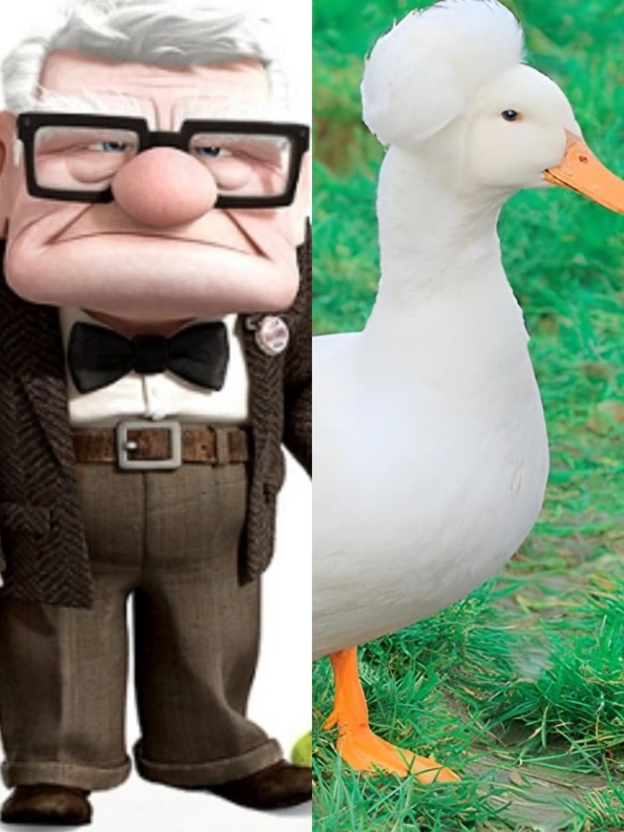 ¡Campanadas en #antena3 ! #pedroche #chicote #Campanadas #meme #2025