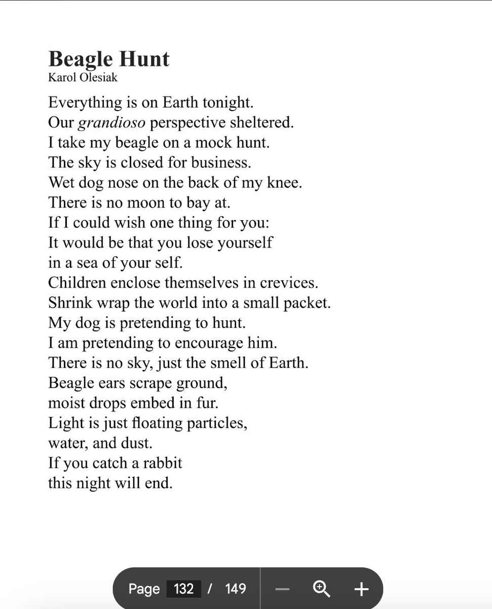 Overjoyed to have my #poem "Beagle Hunt" reprinted in the Heathen Orphans 2024 from <a href="/ZoeticPress/">ZoeticPress || SUBMISSIONS OPEN THROUGH NOVEMBER</a>. Get your copy here: amazon.com/dp/B0DPT5KNHN/