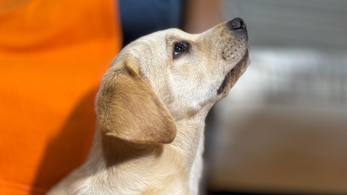 Regi 🇪🇦🇨🇿 tweet media