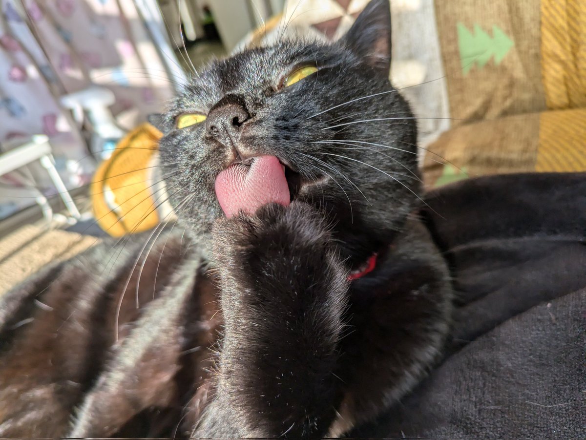 ふるほん又吉@一箱古本市 tweet media