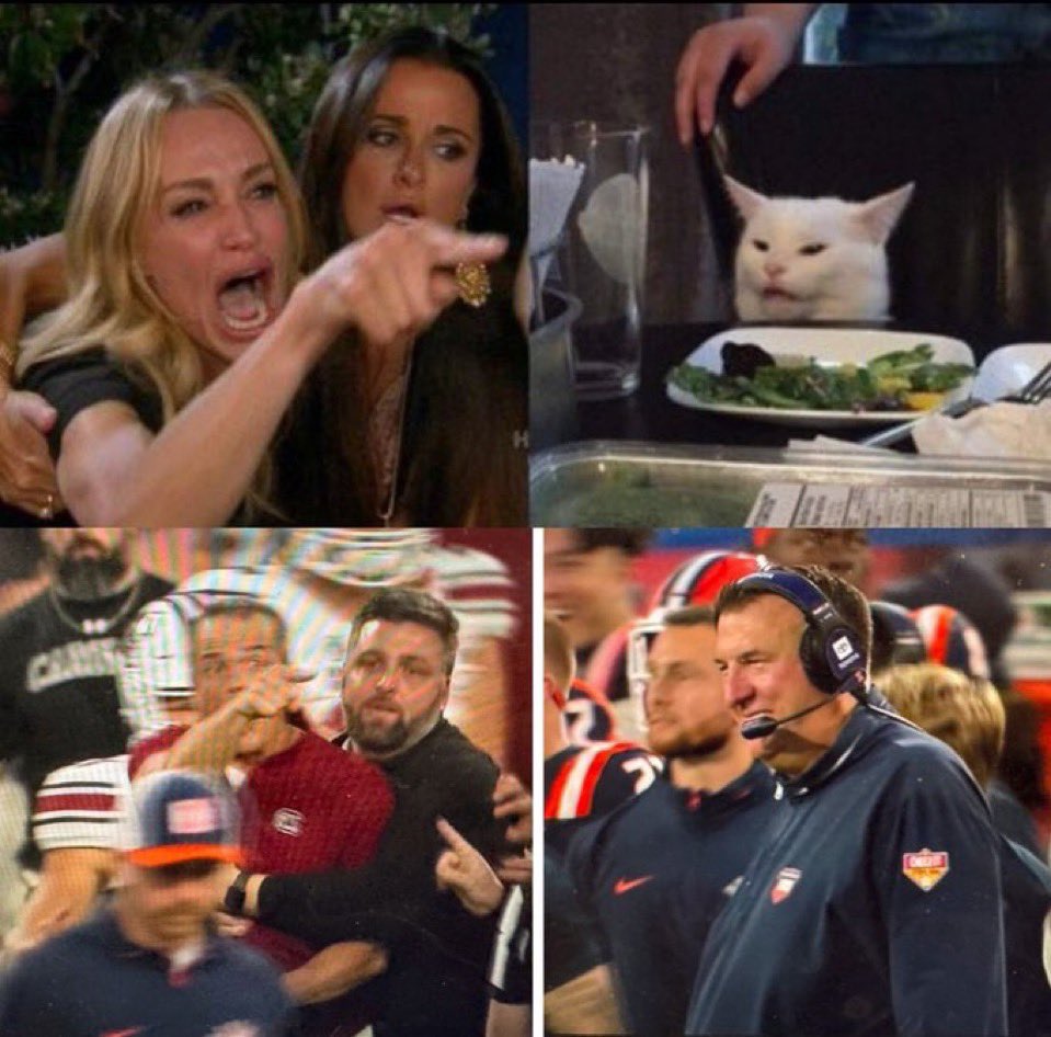 pvscott59's tweet image. 