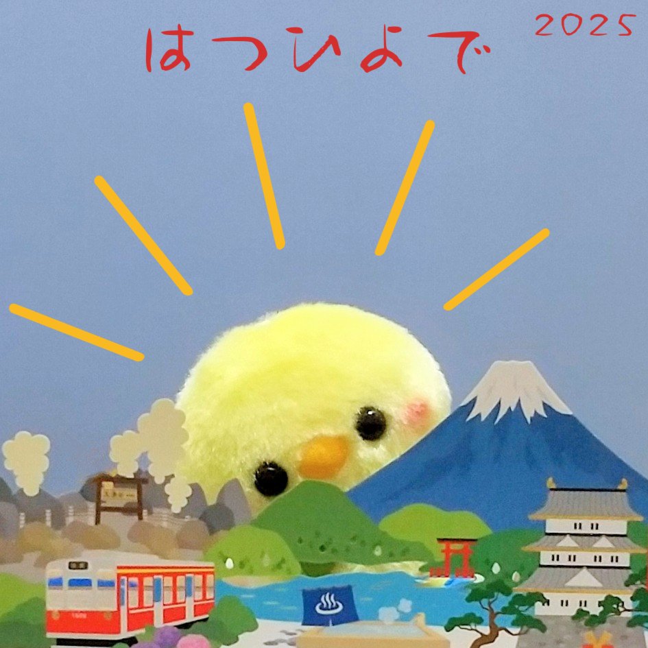 ひよこさま専用ページ♡ ひよこさん