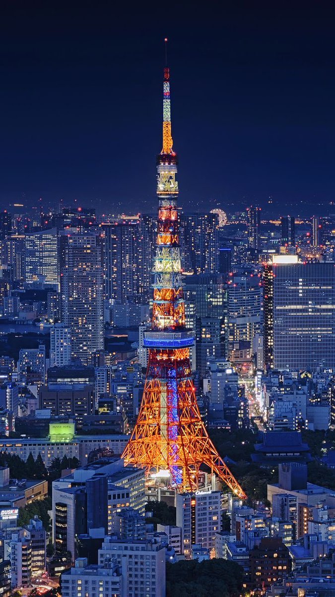 Stunning New Year 2025 from Tokyo, Japan 🎌